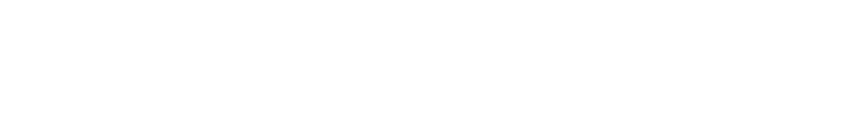 BULLZ.AI